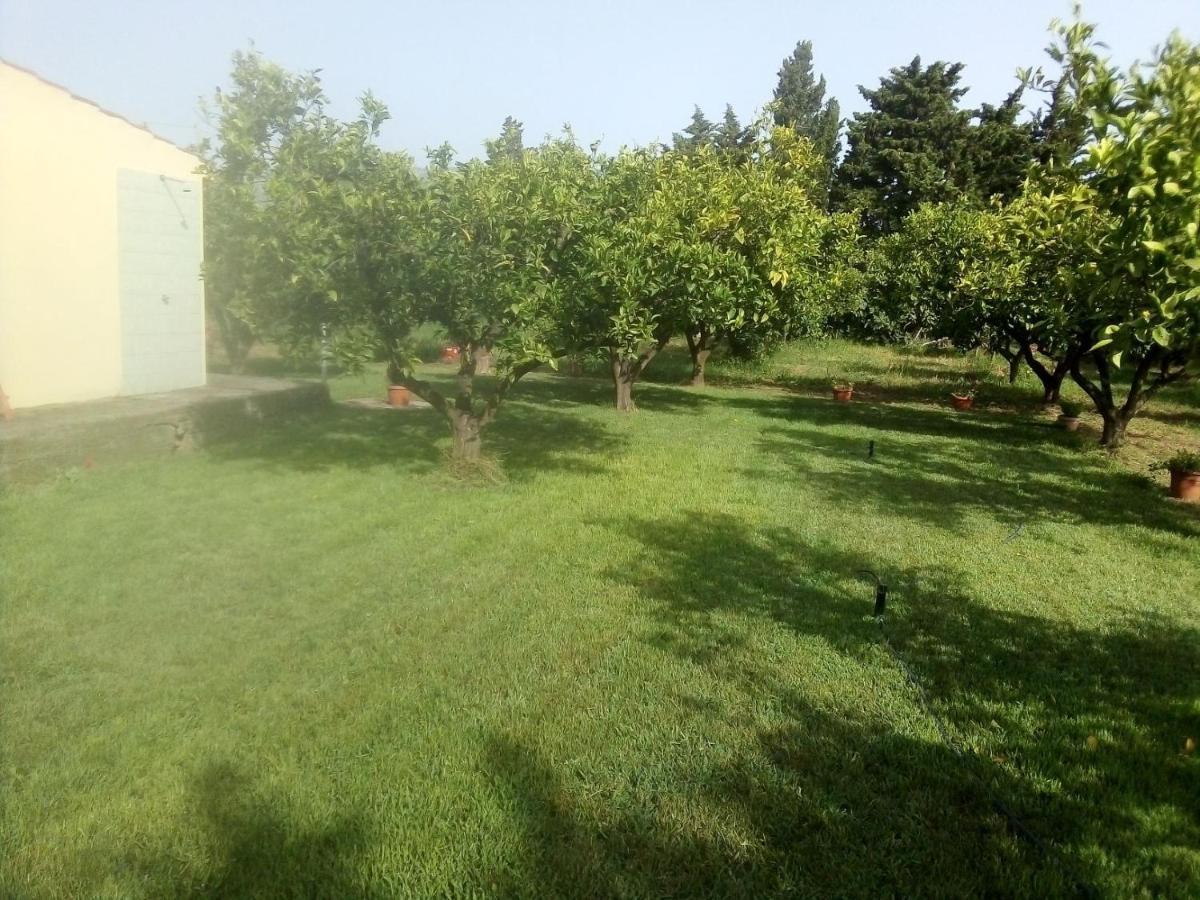 Appartamento In Orosei In Villa Delle Arance 300Mt Dalla Spiaggia 외부 사진