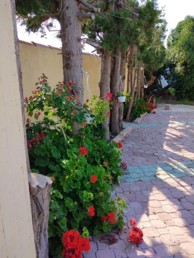 Appartamento In Orosei In Villa Delle Arance 300Mt Dalla Spiaggia 외부 사진
